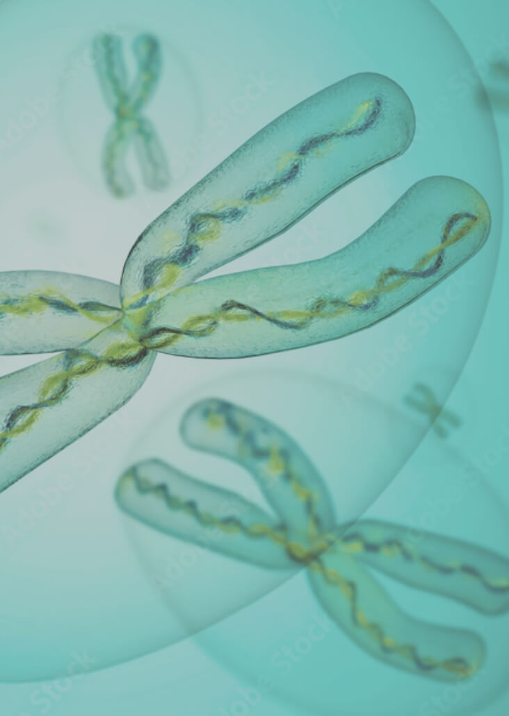 胚胎著床前基因診斷 PGT-M(PGD)