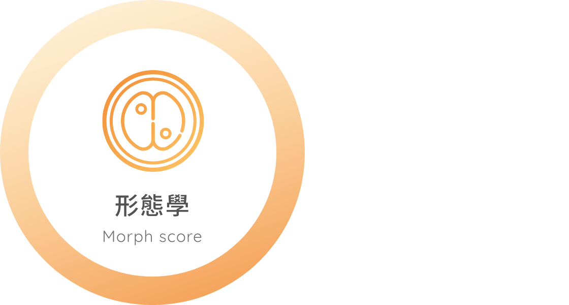 發展動力學