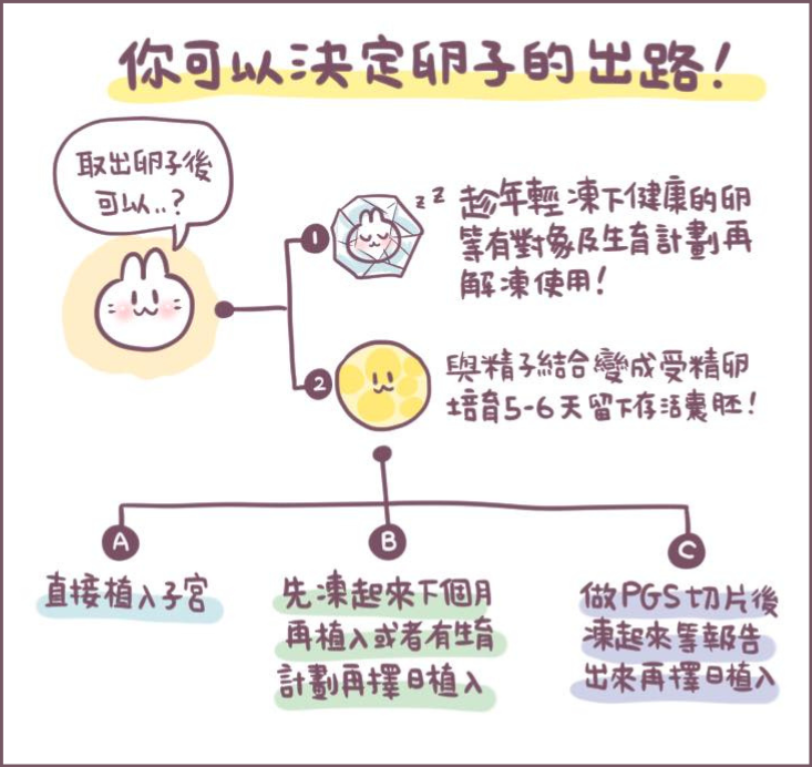 為什麼凍胚-3/不死兔圖文授權