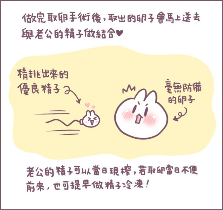 為什麼凍胚-1/不死兔圖文授權