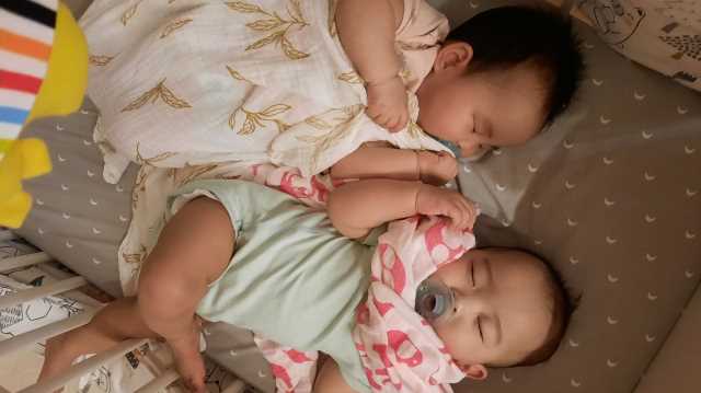 嬰兒圖2 嬰兒圖2