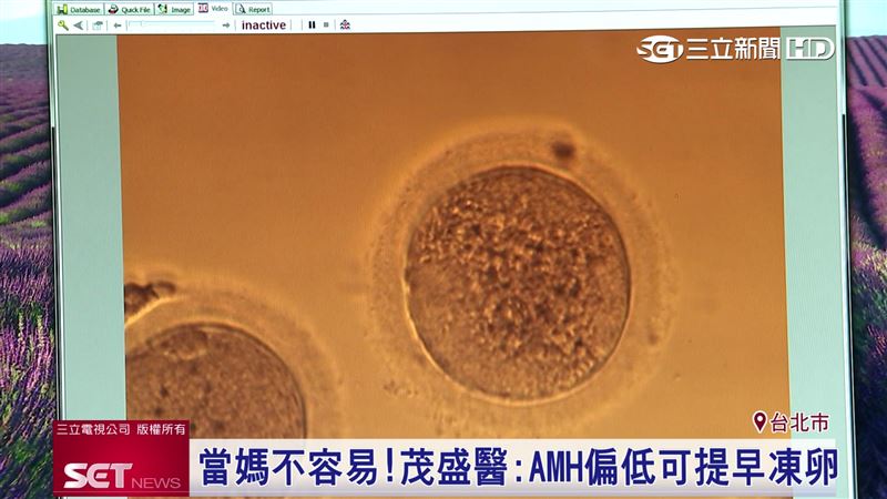 3262421-PH 3262421-PH