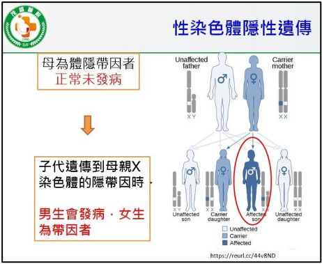 圖片 1 圖片 1