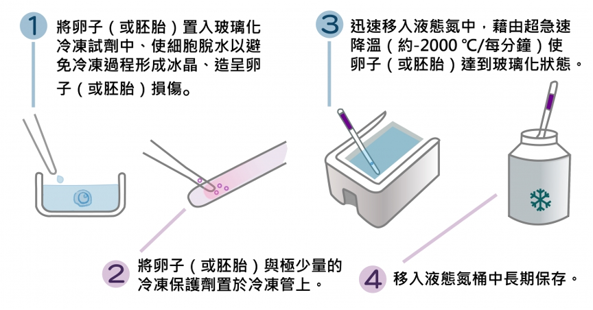 玻璃化冷凍技術