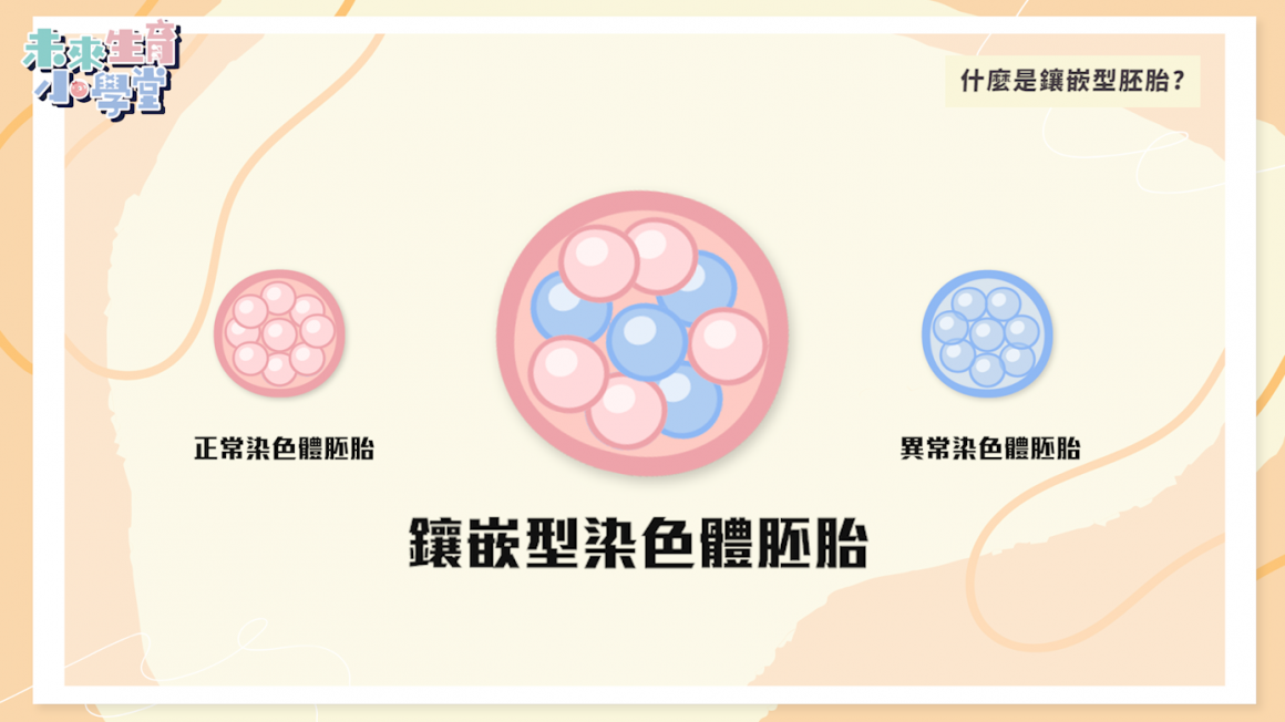 鑲嵌型胚胎介紹