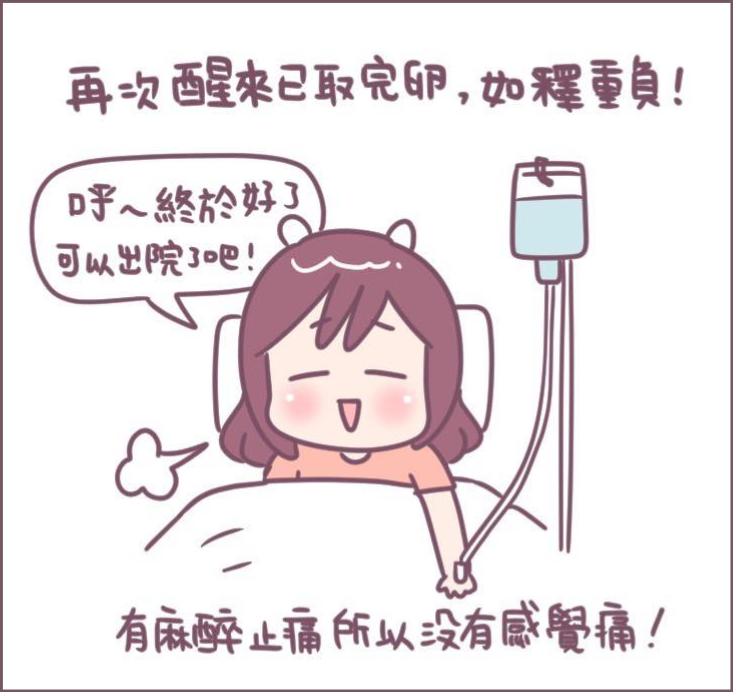 取卵手術過程分享-12/不死兔圖文授權