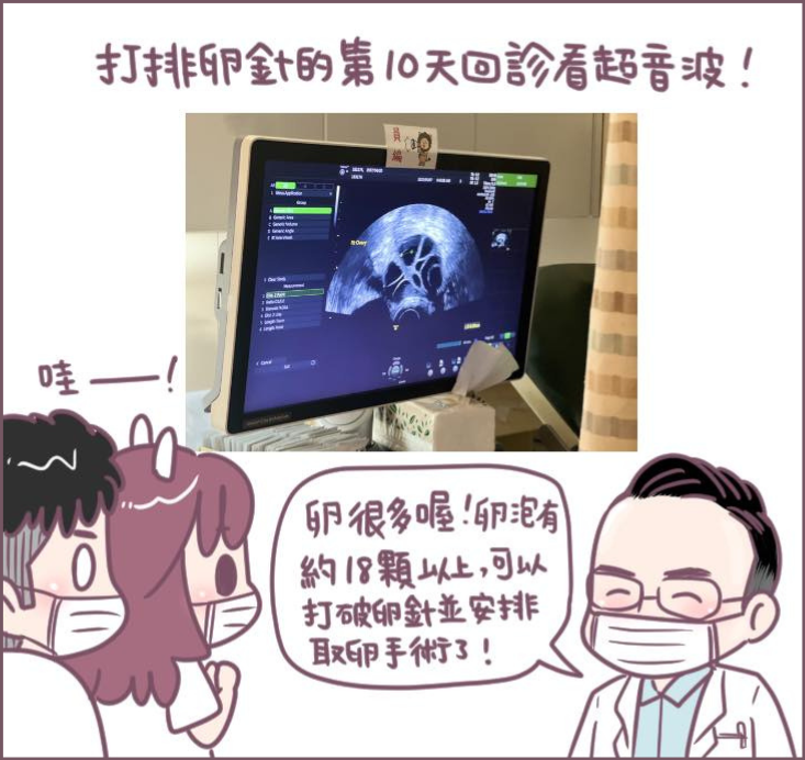 取卵手術過程分享-2/不死兔圖文授權