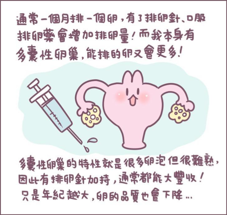 施打排卵針過程分享-3/不死兔圖文授權