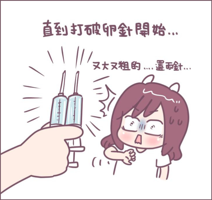 取卵手術過程分享-5/不死兔圖文授權