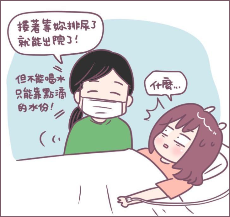 取卵手術過程分享-13/不死兔圖文授權