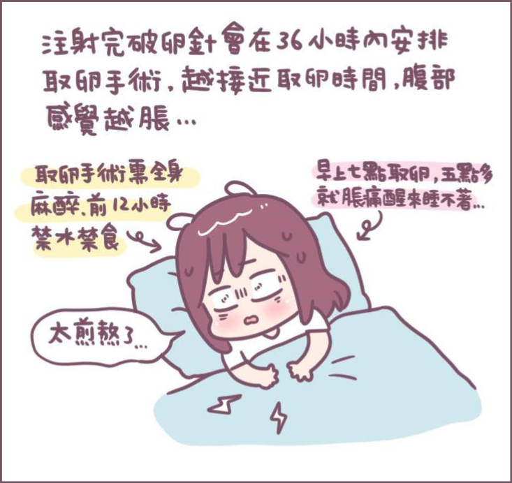 取卵手術過程分享-10/不死兔圖文授權