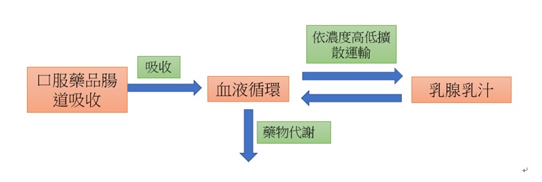 未命名 未命名