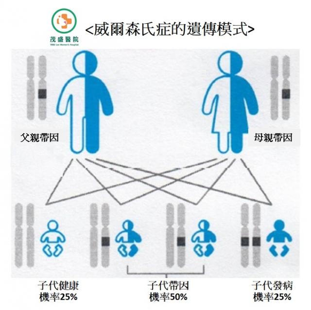 威爾森氏症的遺傳模式