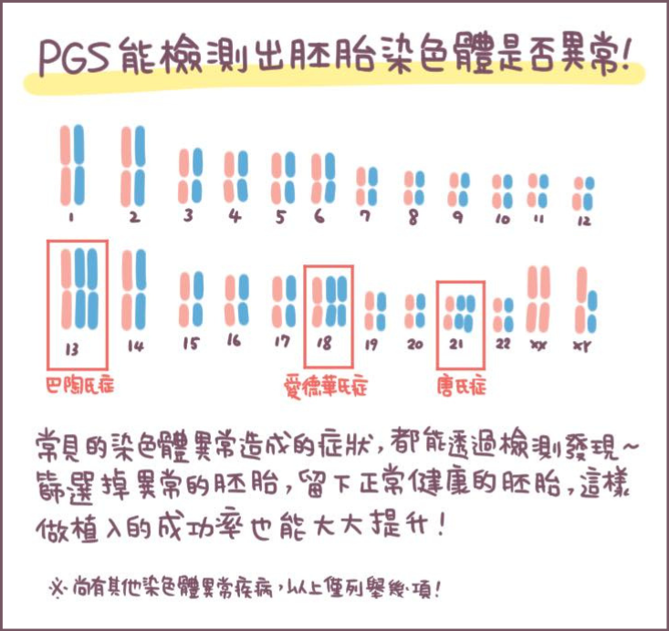 tw_news_list_22f23_xfpamyu5uh PGT-A能檢測出胚胎染色體是否異常/圖:不死兔