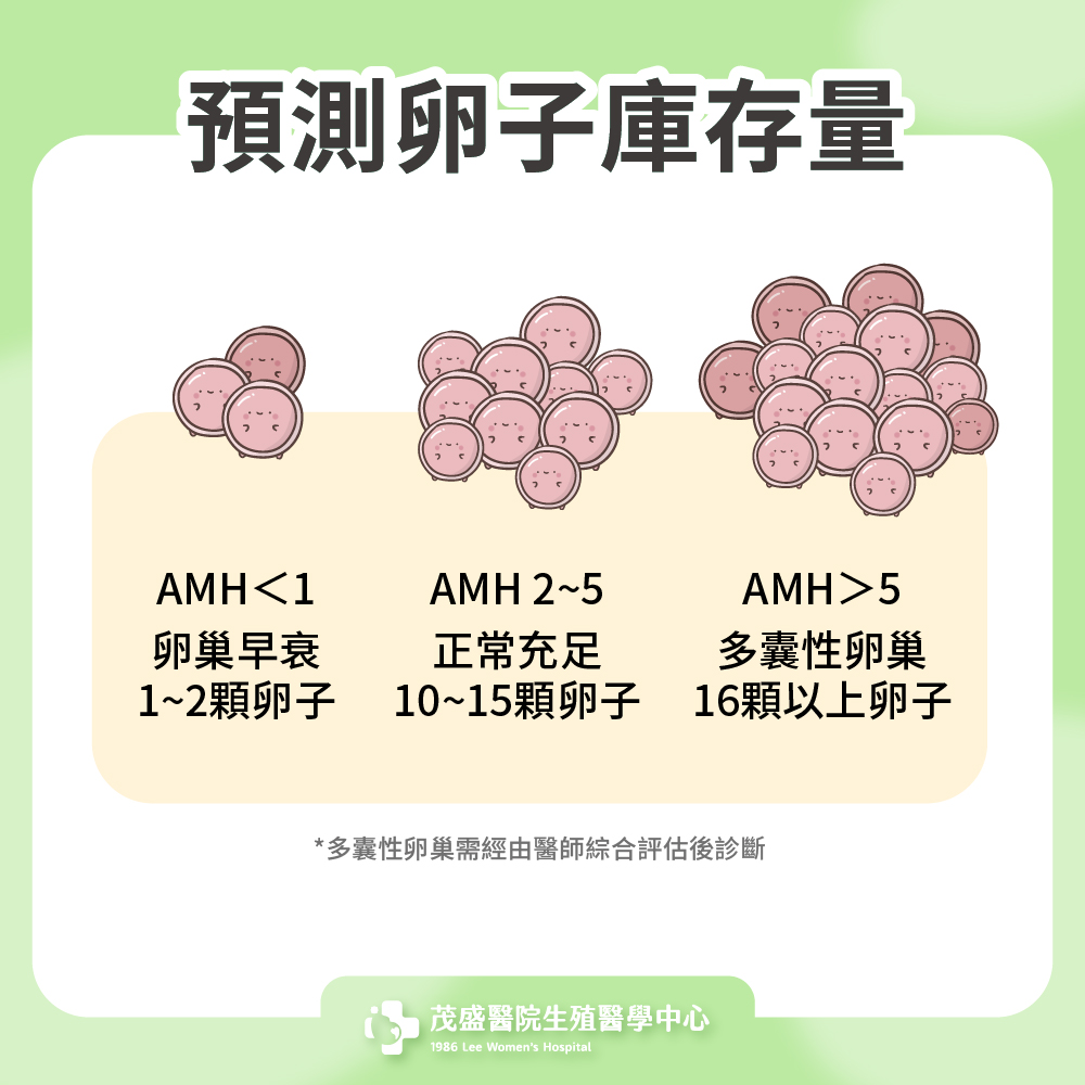 預測卵子庫存量