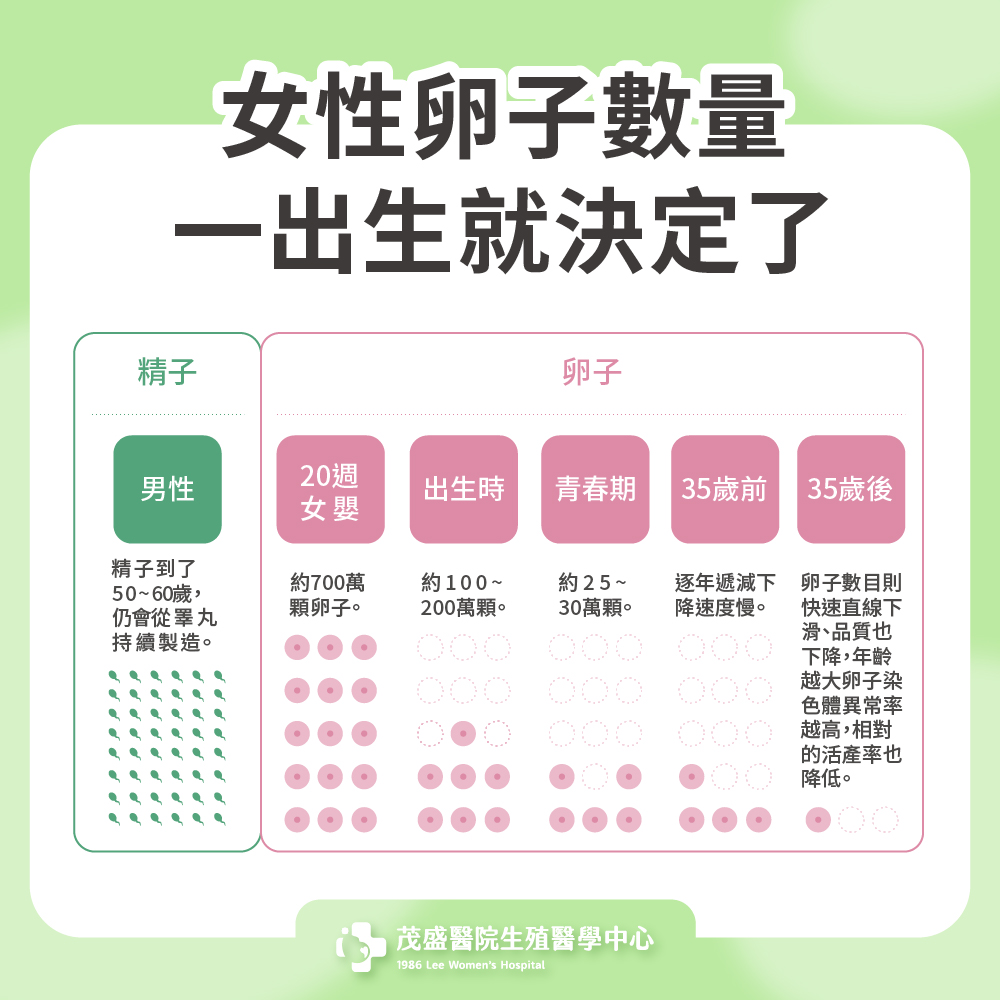 女性卵子數量一出生就決定了