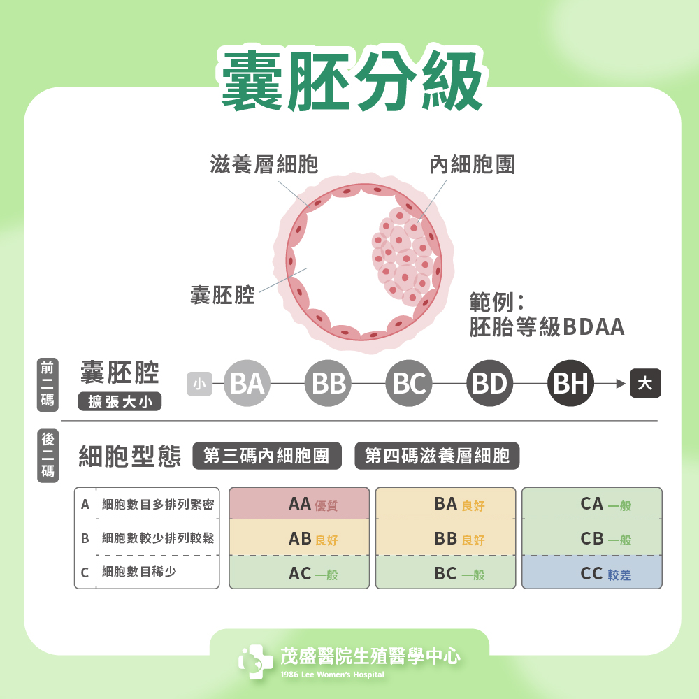 囊胚分級