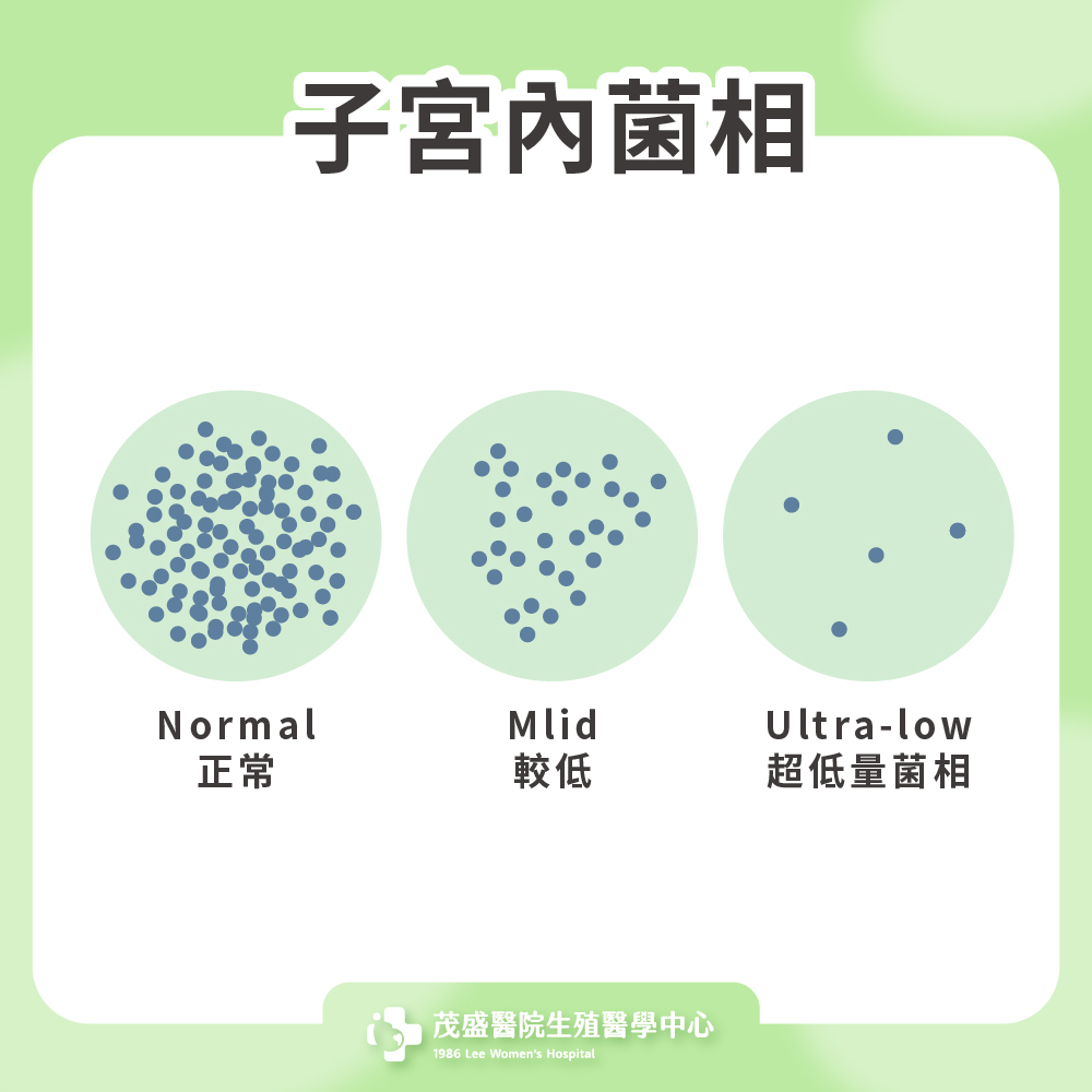 子宮內菌相