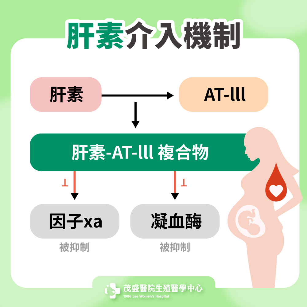 肝素介入機制