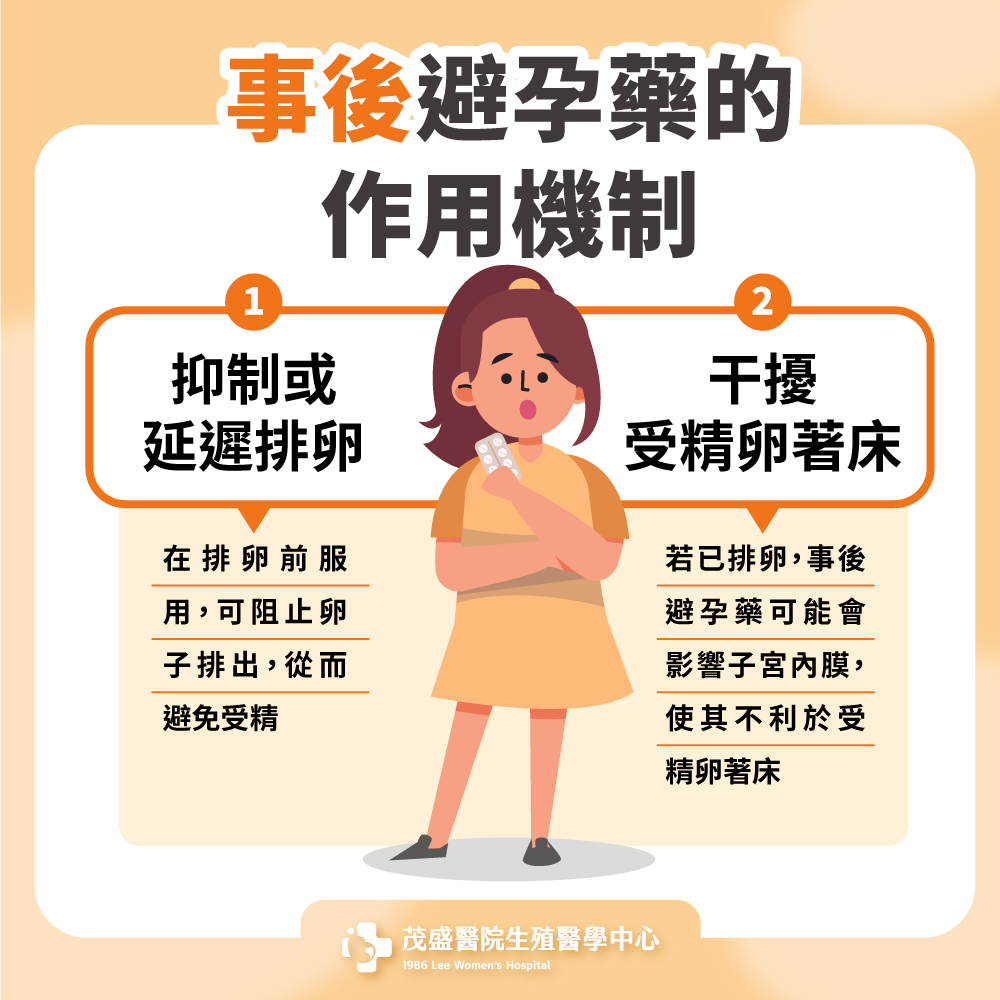 事後避孕藥的作用機制