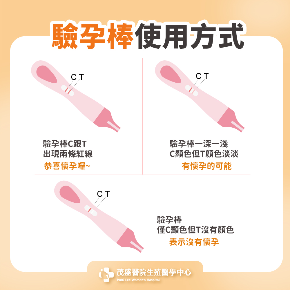 驗孕棒使用方式