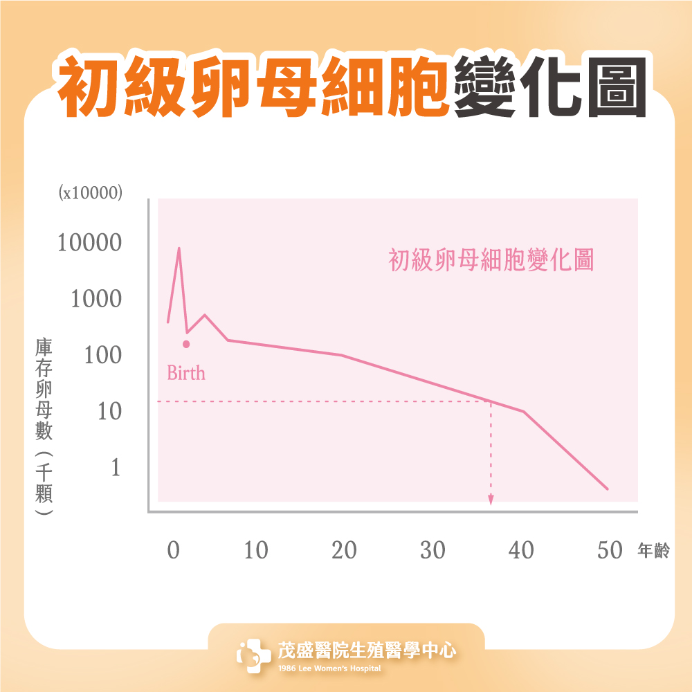 初級卵母細胞變化圖
