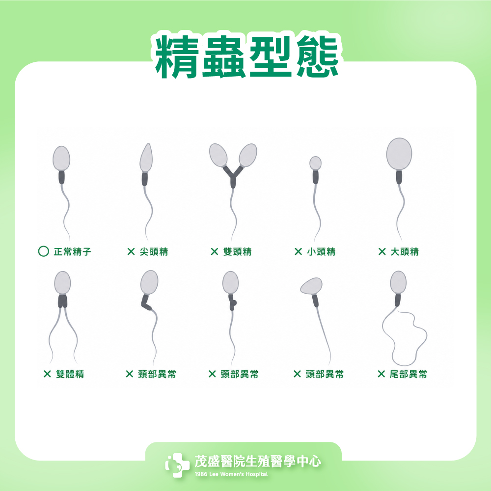 精蟲型態